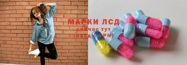 хмурый Бородино