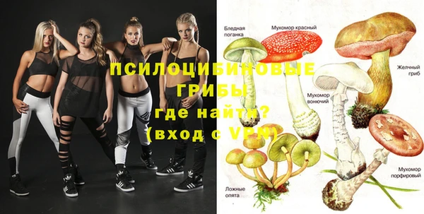 кокс Белокуриха