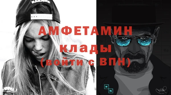 гидра Богданович