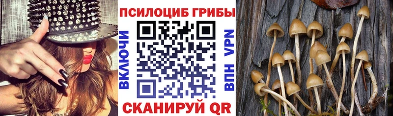 Галлюциногенные грибы мицелий  цена наркотик  Белово 